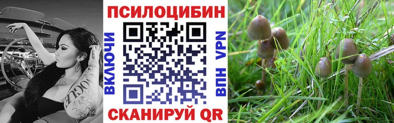 Псилоцибиновые грибы Psilocybe  omg tor  Костомукша  магазин продажи  